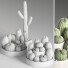 Potted Plants Indoor Set 40 Cactuses - Haniezzatpur