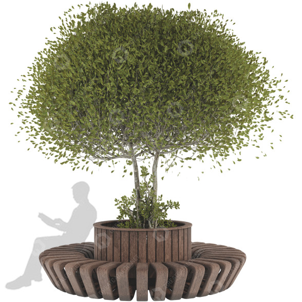 Baum und Bank Sammlung Set 107 3D-Modell