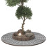 Baum Sammlung Set 112 - mio