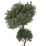Baum Sammlung Set 112 - mio