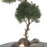 Baum Sammlung Set 112 - mio