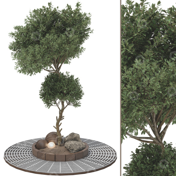 Baum Sammlung Set 112 3D-Modell
