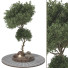 Baum Sammlung Set 112 - mio