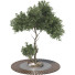 Árbol Conjunto de Colección 113 - mio