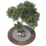 Árbol Conjunto de Colección 113 - mio