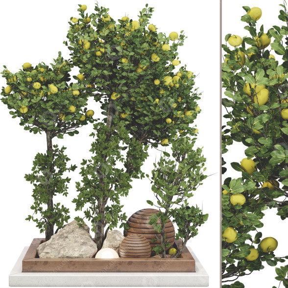 Trees Collection Set 115 3D model