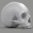 Statuetka Skull Head - Pro