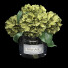 Ramo Hortensia - Pro