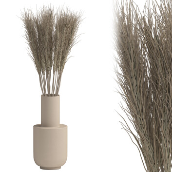 Blumenstrauß  Dekorativer Weizen in Vase 3D-Modell