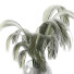 Blumenstrauß Palme im vase - shoxruxbekzokirov65-31540