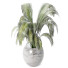 Blumenstrauß Palme im vase - shoxruxbekzokirov65-31540
