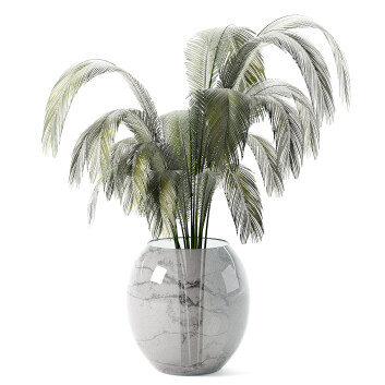 Bukiet Palm in Vase
