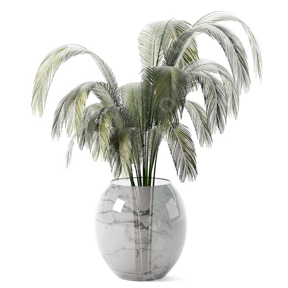 Blumenstrauß Palme im vase 3D-Modell