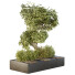 Árbol y arbustos HQ Caja de Jardín Exterior Volumen 34 - Pandora-land