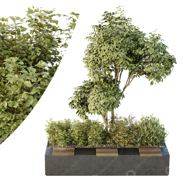 Árbol y arbustos HQ Caja de Jardín Exterior Volumen 34 Modelo 3D