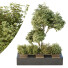Árbol y arbustos HQ Caja de Jardín Exterior Volumen 34 - Pandora-land