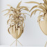 Rośliny doniczkowe House Dracaena Warneckii Lemon Lime Cane Dragon - Pandora-land