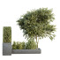 Árbol y arbustos HQ Caja de Jardín Exterior Volumen 34 - Pandora-land