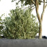 Árbol y arbustos HQ Caja de Jardín Exterior Volumen 34 - Pandora-land