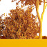 Árbol y arbustos HQ Caja de Jardín Exterior Volumen 34 - Pandora-land