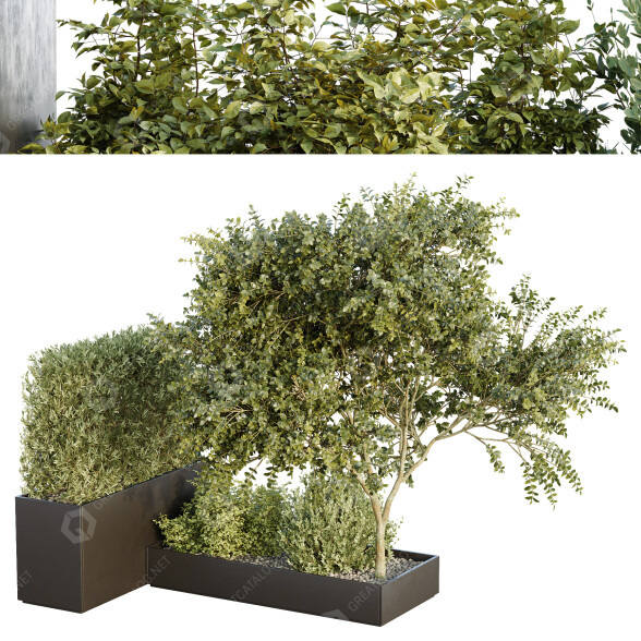 Árbol y arbustos HQ Caja de Jardín Exterior Volumen 34 Modelo 3D