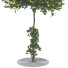 Baum Sammlung Set 116 - mio