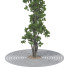 Baum Sammlung Set 116 - mio