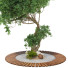 Árbol Conjunto de Colección 129 - mio