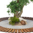 Árbol Conjunto de Colección 129 - mio