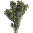 Arbre Ensemble de Collection 132 - mio