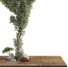 Arbre Ensemble de Collection 132 - mio