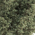 Arbre Ensemble de Collection 132 - mio