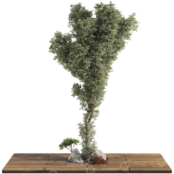 Arbre Ensemble de Collection 132 modèle 3D