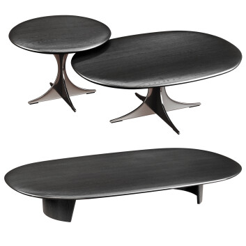 Журнальні столики Minotti Anish 3D модель