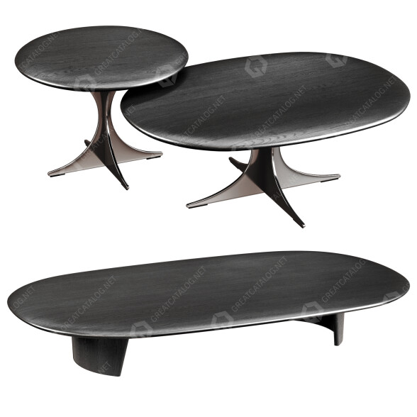 Coffee Tables Minotti Anish 3D model