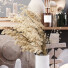 Decoración Conjunto 018 - Roohollah.3DArtist