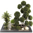 Plantas y banco Conjunto de Colección 143 - mio
