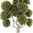 Tree Collection Set 144 - mio