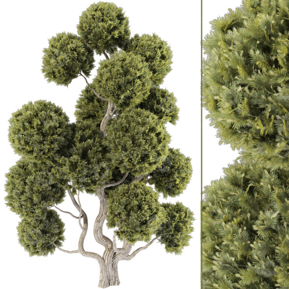 Tree Collection Set 144 3D model
