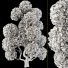 Tree Collection Set 144 - mio