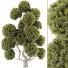 Tree Collection Set 144 - mio