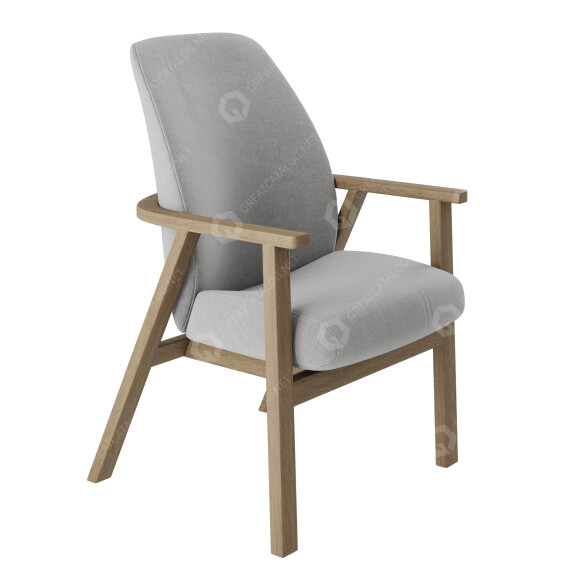 Fauteuil DLS Passage modèle 3D