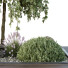 Arbres et buissons HQ Boîte de Jardin Extérieur Volume 36 - Pandora-land