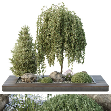 Bäume und Sträucher HQ Gartenkiste Draußen Band 36
