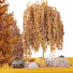 Arbres et buissons HQ Boîte de Jardin Extérieur Volume 36 - Pandora-land