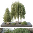 Arbres et buissons HQ Boîte de Jardin Extérieur Volume 36 - Pandora-land