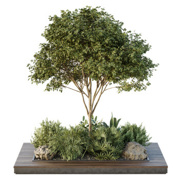 Bäume und Sträucher Gartenkiste Draußen Band 37