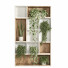 Rack and Flowerpots Indoor Plant Stand 03 Wooden Box - nr.asgari