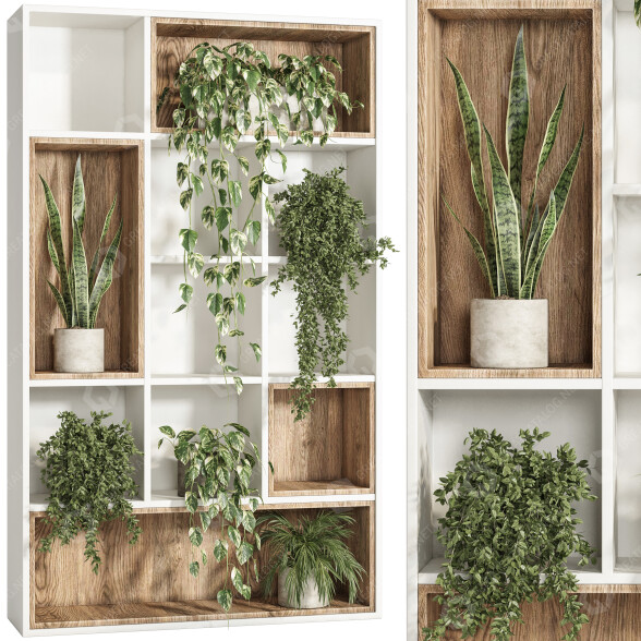 Rack and Flowerpots Indoor Plant Stand 03 Wooden Box 3D model