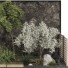 Trees and Bushes Collection Set 152 - mio